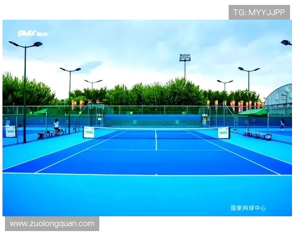 网球运动的历史与发展：从草地到硬地场地的变迁与影响