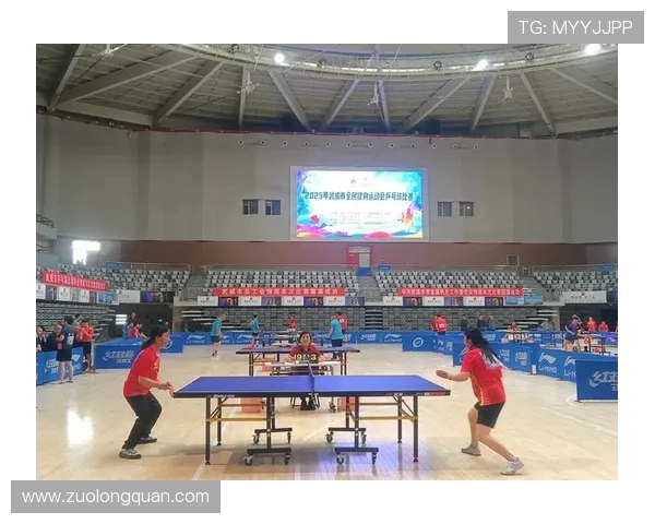 乒乓球运动的魅力与发展探索新时代全民健身中的核心价值