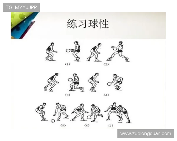 篮球技巧与战术解析：从基础训练到比赛中的应用与突破