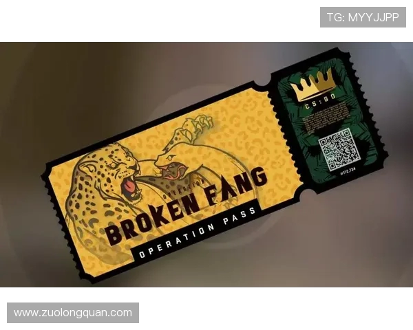 CSGO精彩解析：深入TES战队的战术布局与策略运用