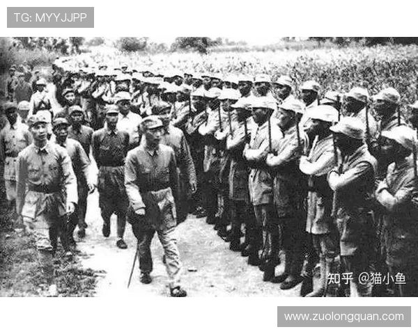 上海极限运动队快攻表现分析与战术得失探讨