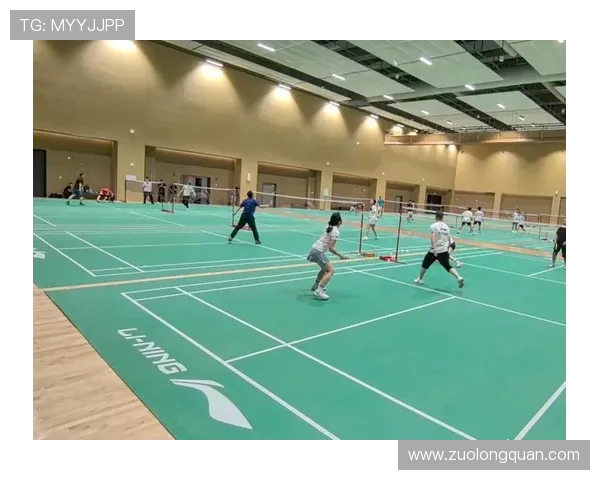 深圳羽毛球队配合问题引发热议球员间默契与战术选择成焦点 深圳羽毛球队配合问题引发热议球员间默契与战术选择成焦点