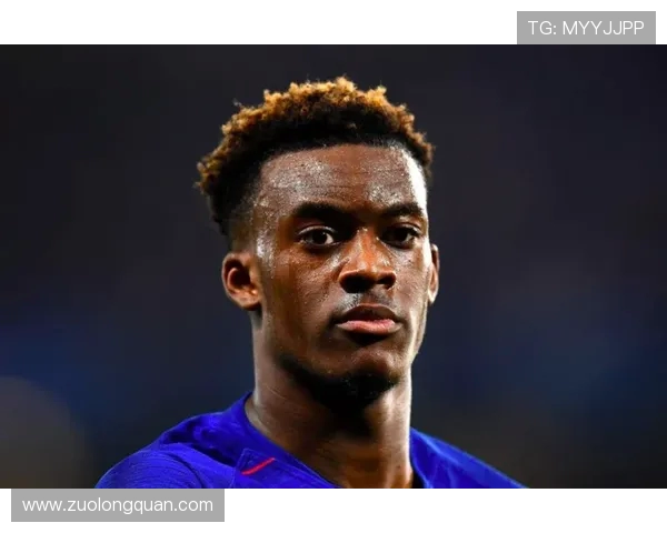 哈德森的传奇旅程探索与启示在现代社会中的重要性与影响力